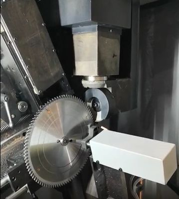 Torsel-Full-Automatische Rundsägen-Schärfausrüstung